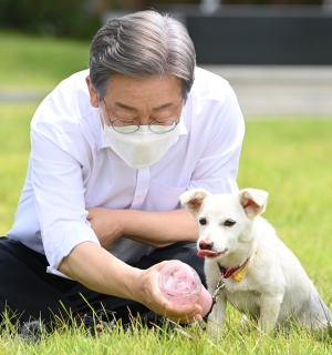 이재명, 동물복지 공약 발표