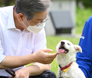 이재명, 동물복지 공약 발표