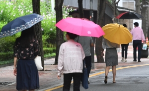 처서에 내리는 가을비