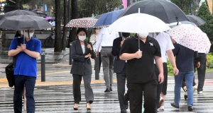 백로에 때 맞춰 내리는 가을비