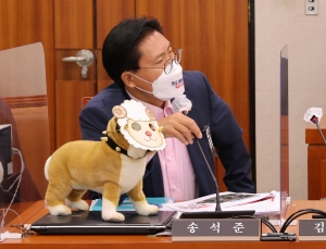 사진