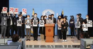 더불어민주당 김건희 주가조작 의혹 기자회견