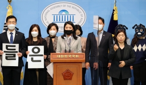 더불어민주당 김건희 주가조작 의혹 기자회견