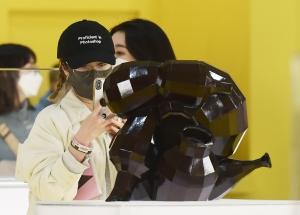사진