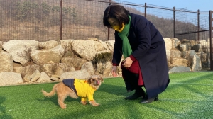 반려동물 보호 복지 공간 방문한 심상정