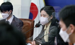 민주당 정치인 연대 '그린벨트'와 민주당 비대위와의 간담회