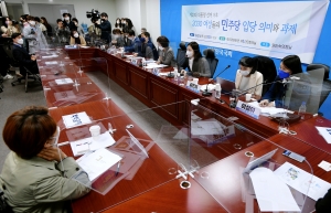 제20대 대통령선거 이후 2030 여성의 더불어민주당 입당 의미와 과제 토론회