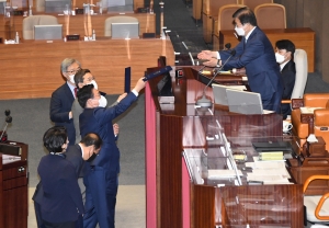 사진