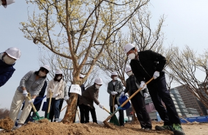 제77회 식목일