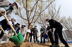 제77회 식목일