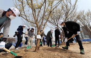 제77회 식목일