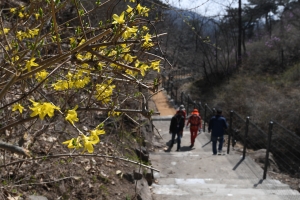 북악산 남측면 전면 개방