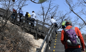 북악산 남측면 전면 개방