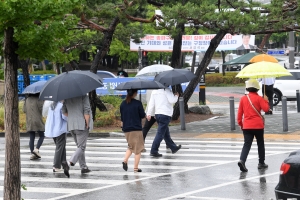 장미광장 비스케치