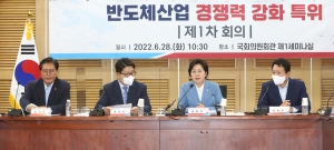 국민의힘 반도채 특위 1차 회의