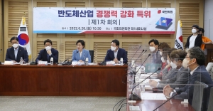 국민의힘 반도채 특위 1차 회의