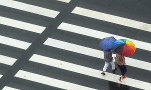 장마 스케치