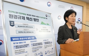 환경규제 혁신방안 브리핑 