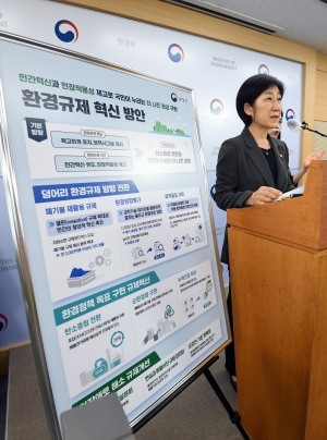 환경규제 혁신방안 브리핑 