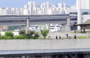 정부세종청사 옥상정원 재개장