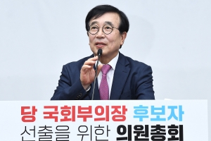 국민의힘 국회부의장 후보자 선출 의원총회