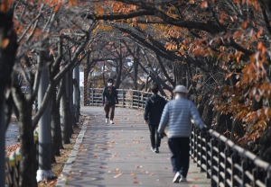 하남시 하남위례길 단풍 스케치