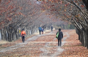 하남시 하남위례길 단풍 스케치