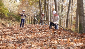 SK임업 설립 50주년 숲 가꾸기