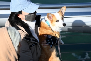 추위 속 가을 산책