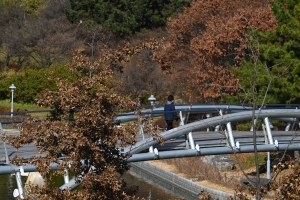 추위 속 가을 산책