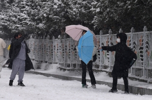 수도권 대설특보