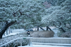 눈 쌓인 국회