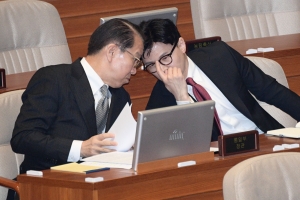 대정부 질문