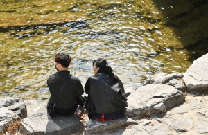 사진