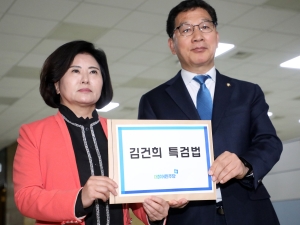 민주당 '김건희 특검법' 발의 