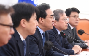 김건희 주가조작 진상조사 TF기자간담회