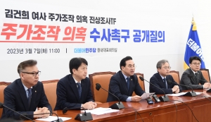 김건희 주가조작 진상조사 TF기자간담회