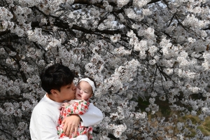 사진