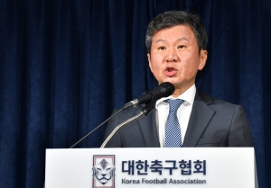 대한축구협회(KFA) 임시이사회