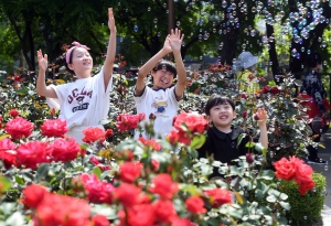 중랑구 2023서울장미축제