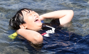 사진