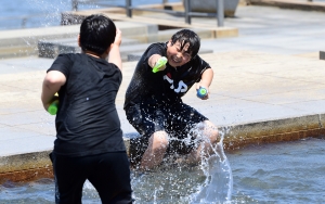 사진