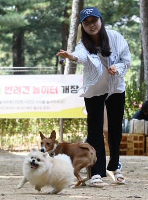 서초구 반련견 놀이터 개장