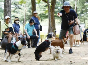 서초구 반련견 놀이터 개장