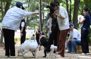 서초구 반련견 놀이터 개장