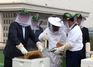 국회 채밀 행사