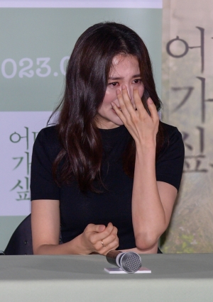 사진