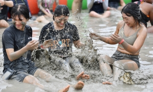 보령 머드축제