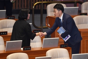 대정부 질문 정치 분야