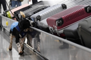 이상민 장관, 인천공항 세관 점검